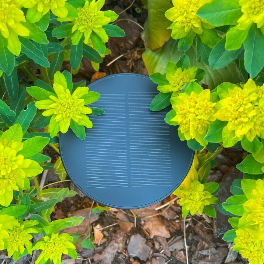 Zuma Line - LED Dimmable solar rechargeable table lamp LED/2W/2000 mAh IP44 black