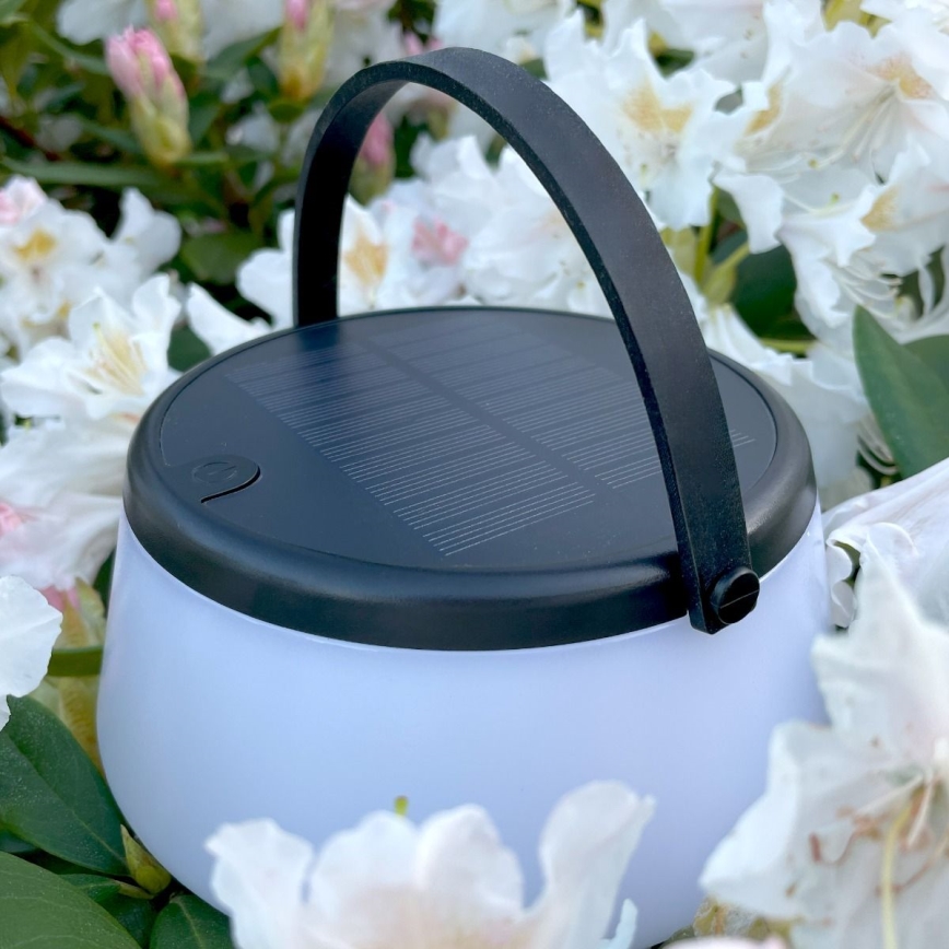 Zuma Line - LED Dimmable solar rechargeable table lamp LED/2,2W/2000 mAh IP44 black