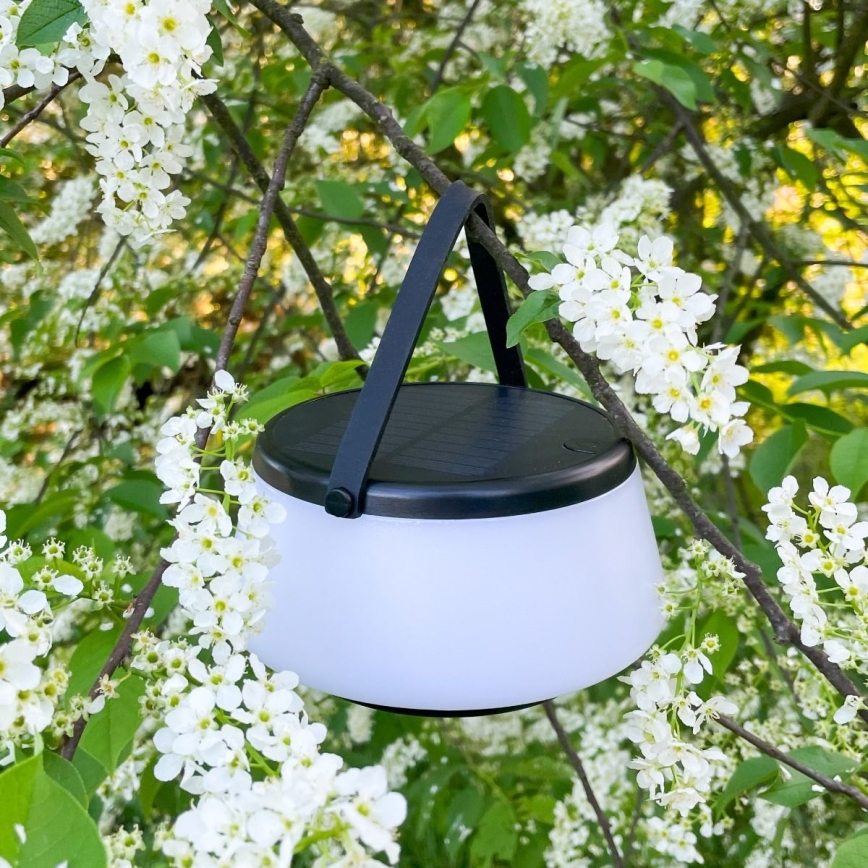 Zuma Line - LED Dimmable solar rechargeable table lamp LED/2,2W/2000 mAh IP44 black