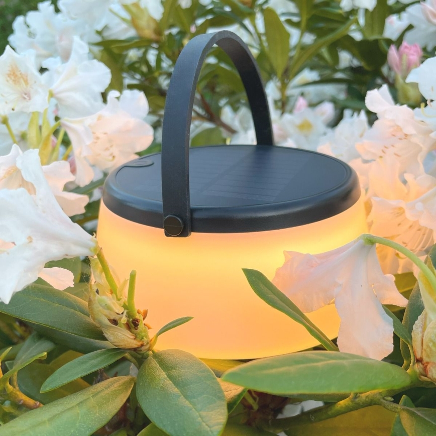 Zuma Line - LED Dimmable solar rechargeable table lamp LED/2,2W/2000 mAh IP44 black