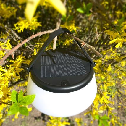 Zuma Line - LED Dimmable solar rechargeable table lamp LED/2,2W/2000 mAh IP44 black