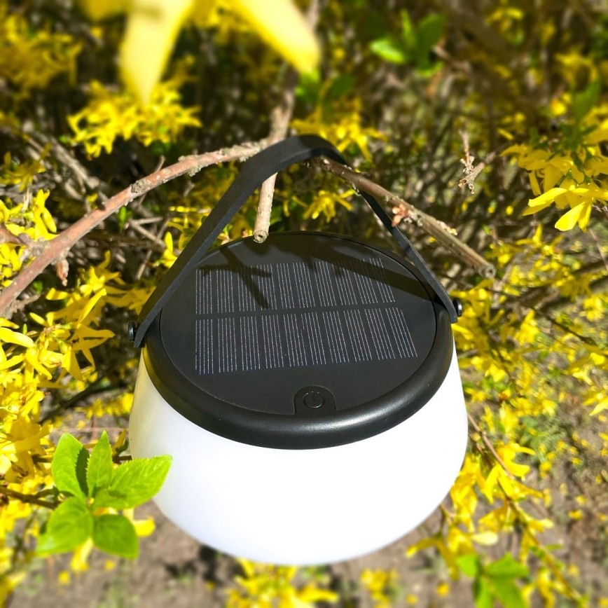 Zuma Line - LED Dimmable solar rechargeable table lamp LED/2,2W/2000 mAh IP44 black