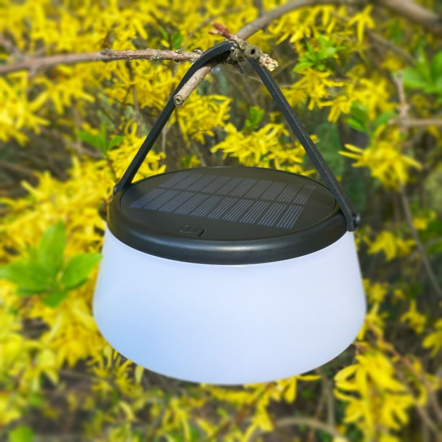 Zuma Line - LED Dimmable solar rechargeable table lamp LED/2,2W/2000 mAh IP44 black