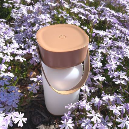 Zuma Line - LED Dimmable rechargeable table lamp LED/3W/1200 mAh 3000/4000/6500K IP44 brown