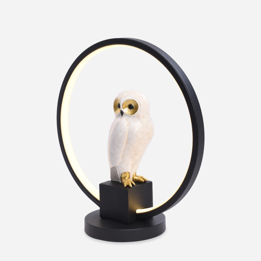 Zuma Line - LED Table lamp LED/4W/5V black/white
