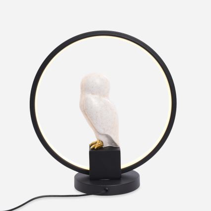 Zuma Line - LED Table lamp LED/4W/5V black/white