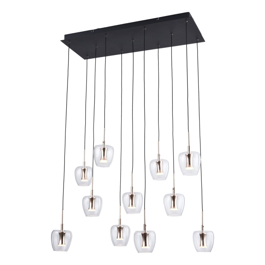 Zuma Line - LED Cable Pendant Light 11xLED/3W/230V, Black