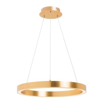 Zuma Line - LED Cable-Suspended Pendant LED/40W/230V Ø 50 cm Gold
