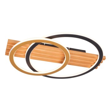 Zuma Line - LED Ceiling Light LED/40W/230V