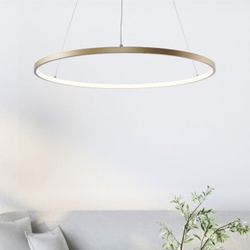 Zuma Line - LED Chandelier on a string LED/36W/230V 3000/4000/6000K d. 80 cm gold