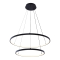 Zuma Line - LED Chandelier on a string LED/50W/230V 3000/4000/6000K d. 60 cm black