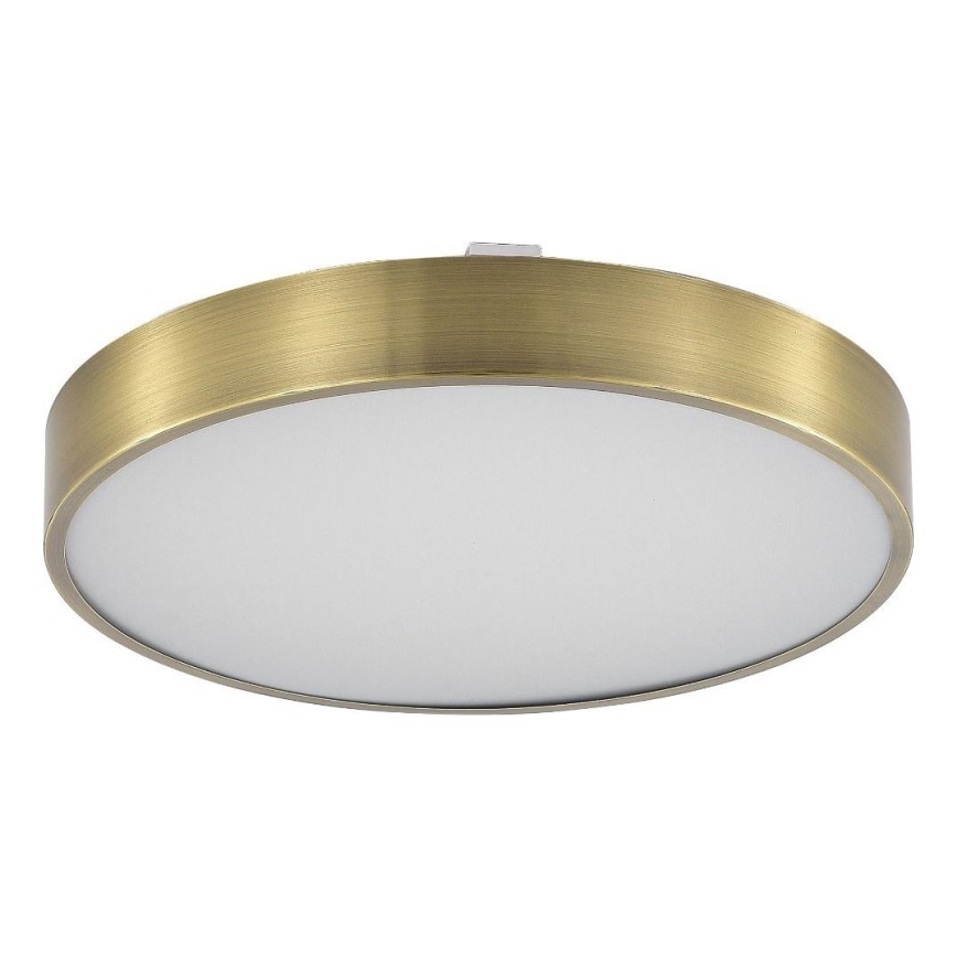 Zuma Line - LED Dimmable bathroom ceiling light LED/36W/230V 3000-6000K d. 40 cm IP44 brass + remote control