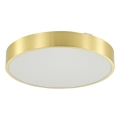 Zuma Line - LED Dimmable bathroom ceiling light LED/36W/230V 3000-6000K d. 40 cm IP44 gold + remote control