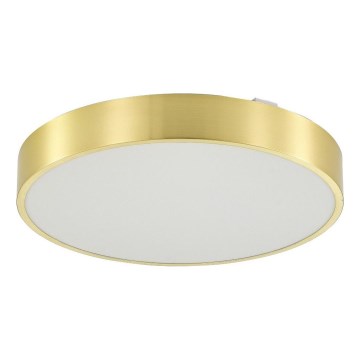 Zuma Line - LED Dimmable bathroom ceiling light LED/36W/230V 3000-6000K d. 40 cm IP44 gold + remote control