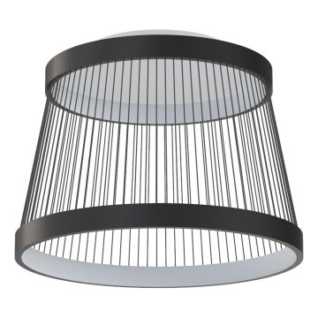 Zuma Line - LED Dimmable ceiling light LED/32W/230V 2700-6000K black + remote control