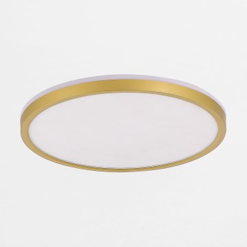 Zuma Line - LED Dimmable ceiling light LED/38W/230V + LED/11W 3000/4000/5500K d. 50 cm gold