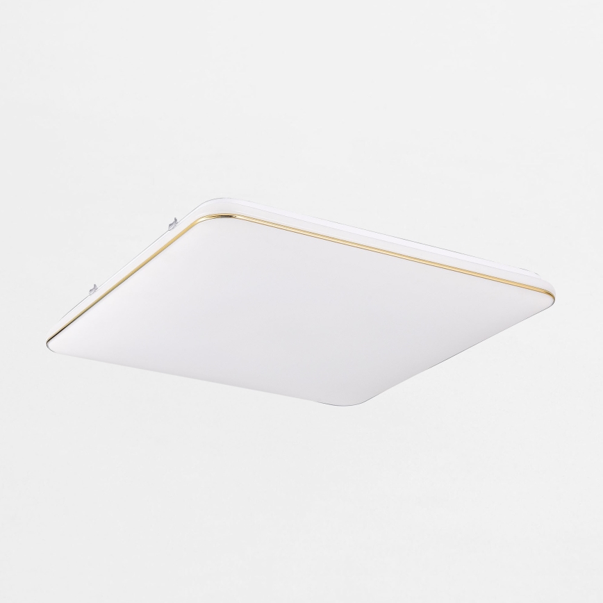 Zuma Line - LED Dimmable ceiling light LED/48W/230V 53x53 cm gold