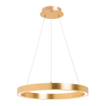 Zuma Line - LED Pendant Light on Cable, 30W, 230V, 40 cm, Gold