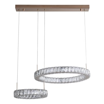 Zuma Line - LED Pendant on Cable LED/36W/230V rose gold