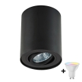 Zuma Line - LED RGBW Dimmable Spotlight 1x GU10 / 4,8W / 230V, Black + Remote Control