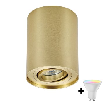 Zuma Line - LED RGBW Dimmable spotlight 1xGU10/4,8W/230V gold + remote control