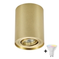 Zuma Line - LED RGBW Dimmable spotlight 1xGU10/6W/230V gold + remote control
