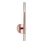 Zuma Line - LED Wall lamp 2xLED/5W/230V Rose gold