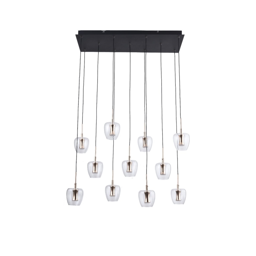 Zuma Line - LED Cable Pendant Light 11xLED/3W/230V, Black