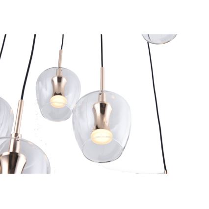 Zuma Line - LED Cable Pendant Light 11xLED/3W/230V, Black