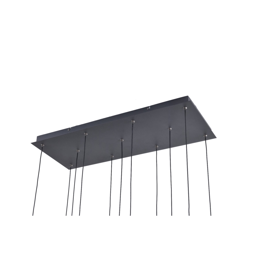 Zuma Line - LED Cable Pendant Light 11xLED/3W/230V, Black