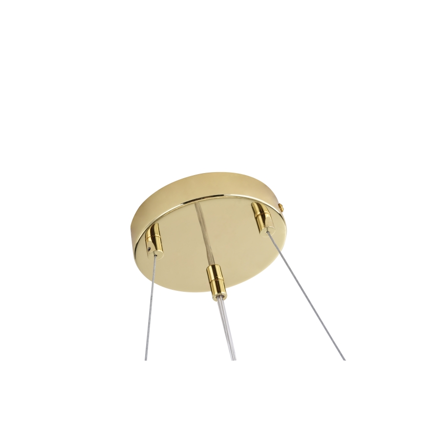Zuma Line - Cable-suspended chandelier 6xG9/42W/230V gold