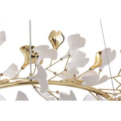 Zuma Line - Cable chandelier 6xG9/42W/230V Ø 74 cm Gold