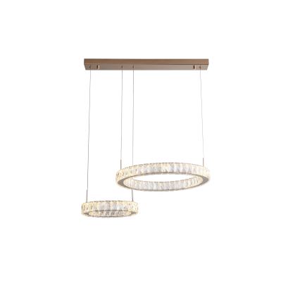 Zuma Line - LED Pendant on Cable LED/36W/230V rose gold