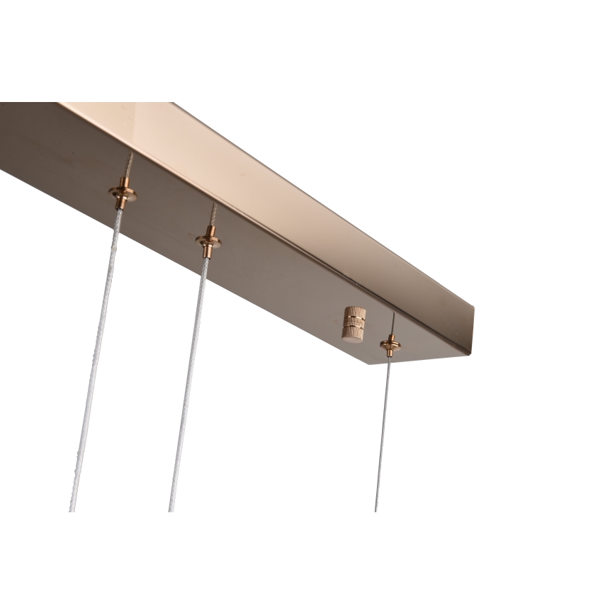Zuma Line - LED Pendant on Cable LED/36W/230V rose gold