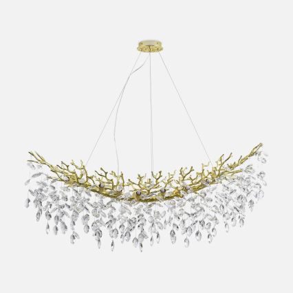 Zuma Line - Cable-suspended chandelier 14xG9/3,5W/230V 115x40 cm gold