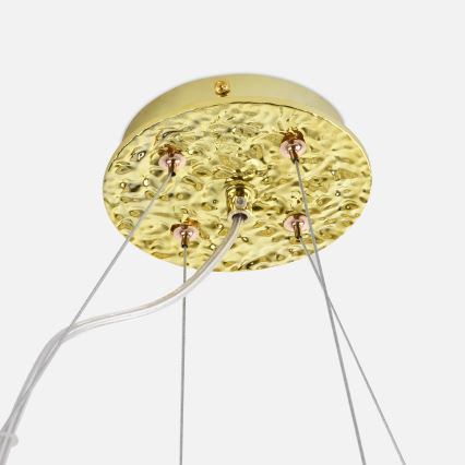 Zuma Line - Cable-suspended chandelier 14xG9/3,5W/230V 115x40 cm gold