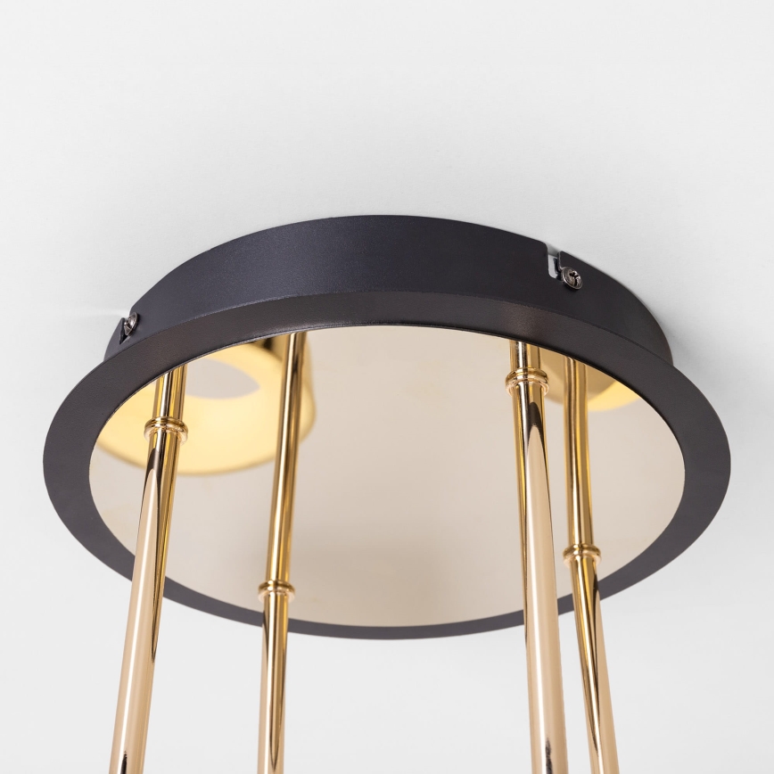 Zuma Line - Dimmable LED Flush-Mount Chandelier LED/60W/230V Gold/Black