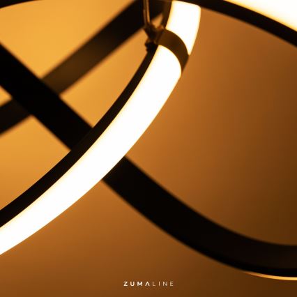 Zuma Line - LED Dimmable surface-mounted chandelier LED/44W/230V black/gold
