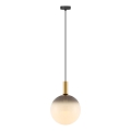 Zuma Line - Pendant light on cable 1xE27/25W/230V Ø 30 cm gold/black