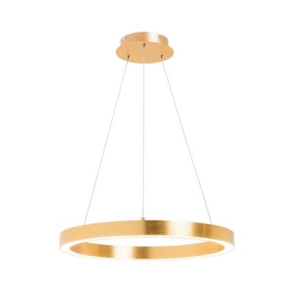 Zuma Line - LED Chandelier on a string 1xLED/30W/230V 40 cm golden