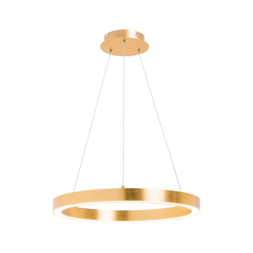 Zuma Line - LED Chandelier on a string 1xLED/30W/230V 40 cm golden