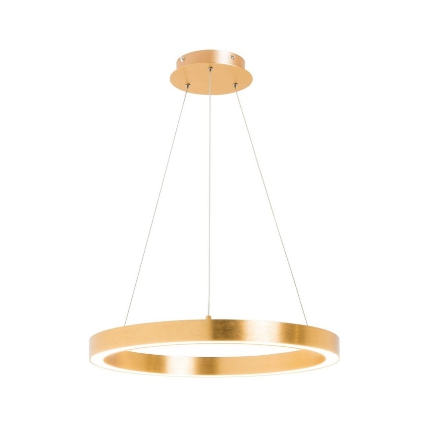 Zuma Line - LED Chandelier on a string 1xLED/40W/230V d. 50 cm gold