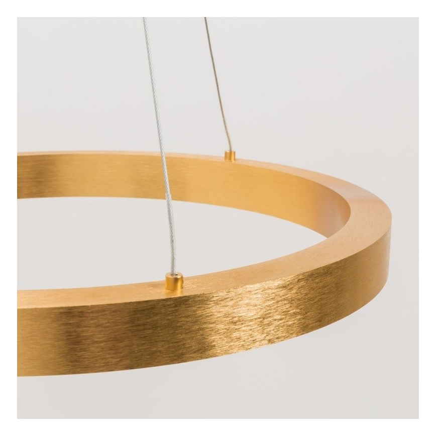 Zuma Line - LED Chandelier on a string 1xLED/40W/230V d. 50 cm gold