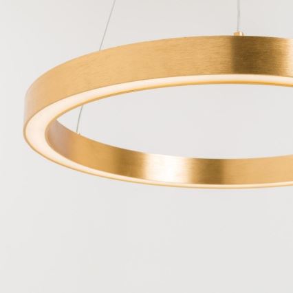 Zuma Line - LED Chandelier on a string 1xLED/40W/230V d. 50 cm gold