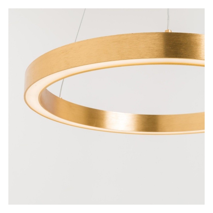 Zuma Line - LED Chandelier on a string 1xLED/40W/230V d. 50 cm gold