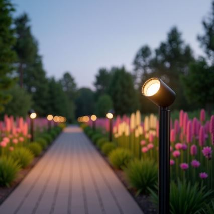 Zuma Line - Outdoor lamp 1xGU10/35W/230V IP65 black