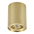 Zuma Line - Spotlight 1xGU10/50W/230V gold