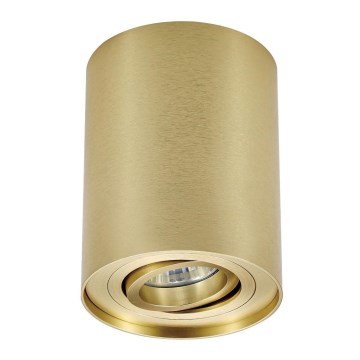 Zuma Line - Spotlight 1xGU10/50W/230V gold