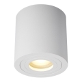 Zuma Line - Spotlight 1xGU10/50W/230V IP44 white