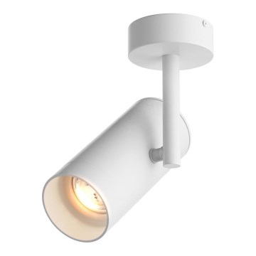 Zuma Line - Spotlight 1xGU10/50W/230V white